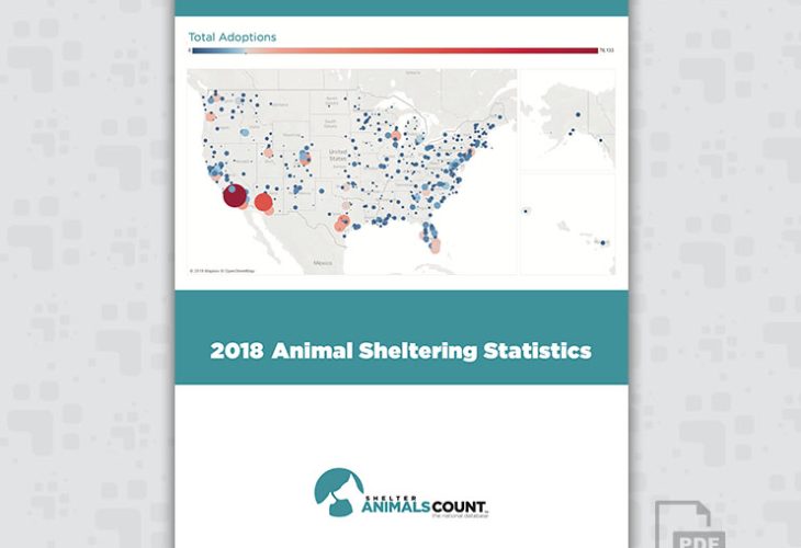 2018 Animal Sheltering Statistics