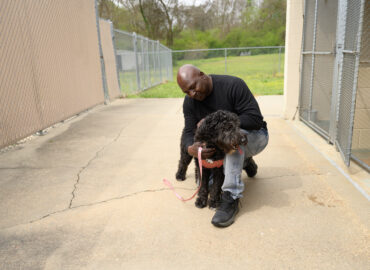 animal shelter volunteer with shelter animal dog