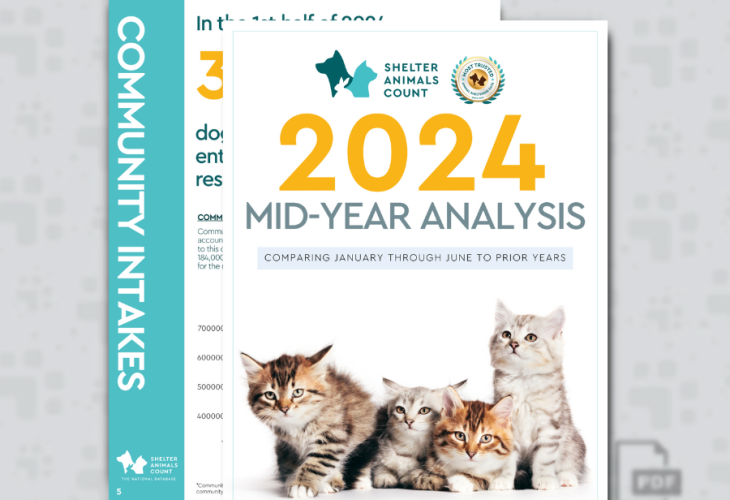 2024 Mid-Year Report