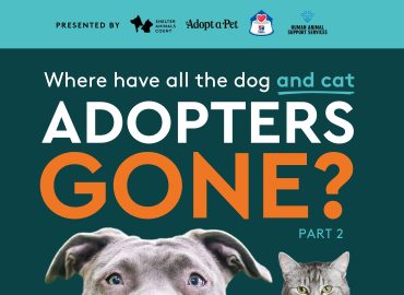 Where have all the dog and cat adopters gone? Shelter Animals Count