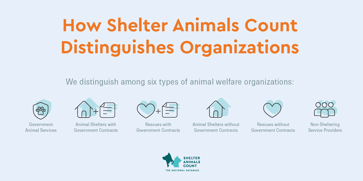 how shelter animals count distinguishes organizations