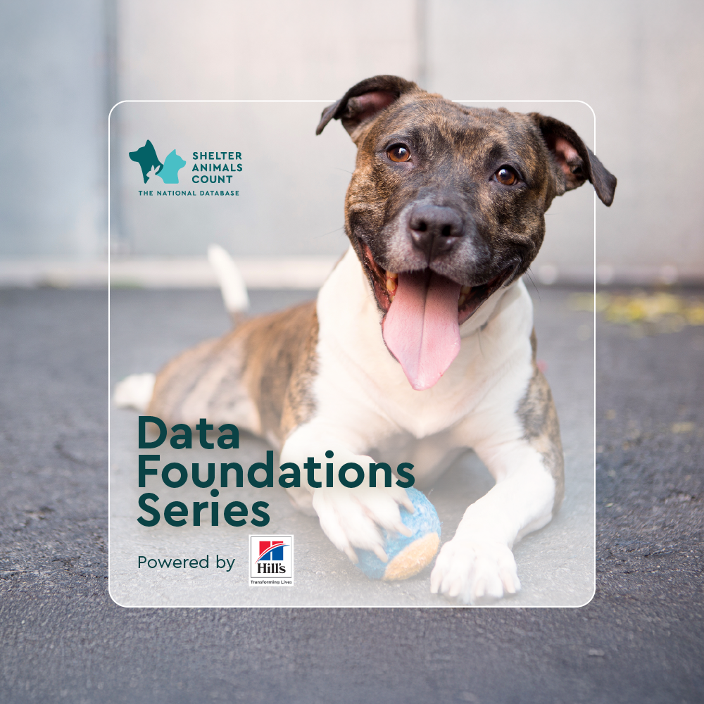 data foundations series, shelter animals count, hill's pet nutrition