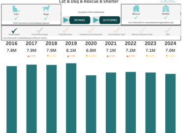 national animal welfare statistics dashboard