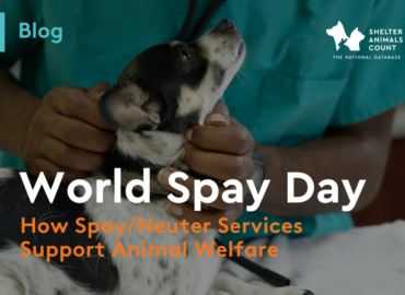 world spay day, shelter animals count, animal statistics