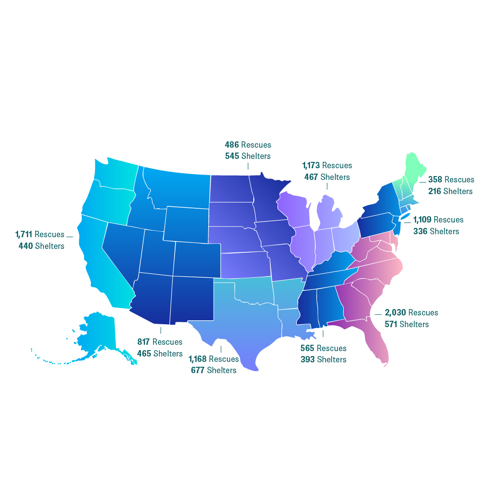 Number of shelters and rescues, united states