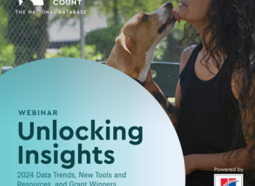 unlocking insights webinar and recap, shelter animals count