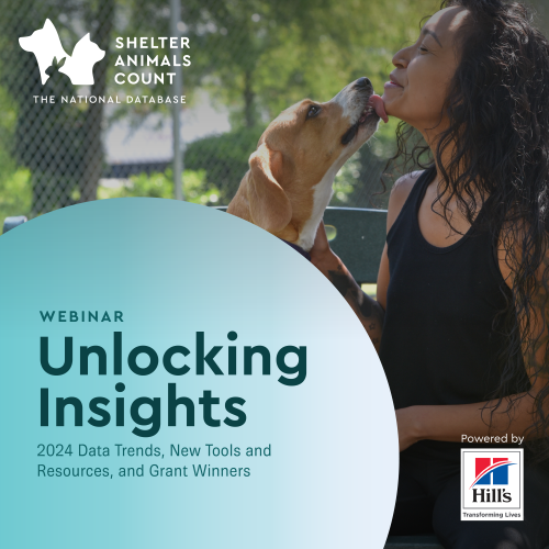 unlocking insights webinar and recap, shelter animals count