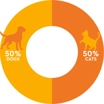 dog and cat data, shelter animals count